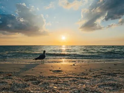 Guardian Angel Meditation With LunaLight