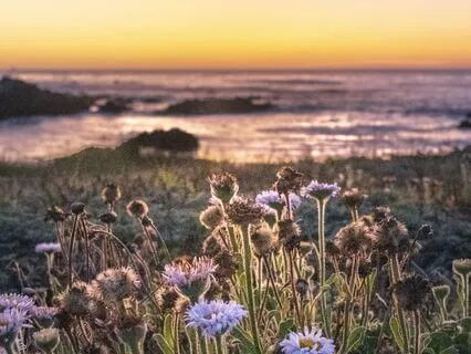 Guarding And Gifting- A Yoga Nidra For Nervous System Rest