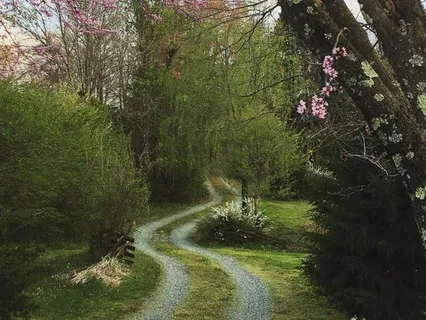 Guidance For Dilemmas And Double Binds