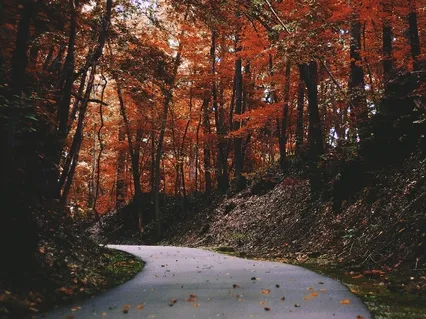 Guidance For The Grieving