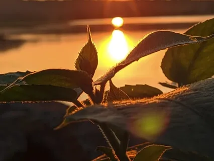 Guidance From Space: A Yoga Nidra Journey