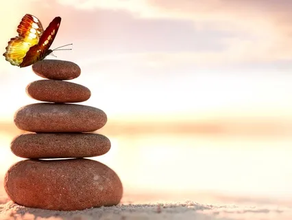 Guidance From Your Three Brains