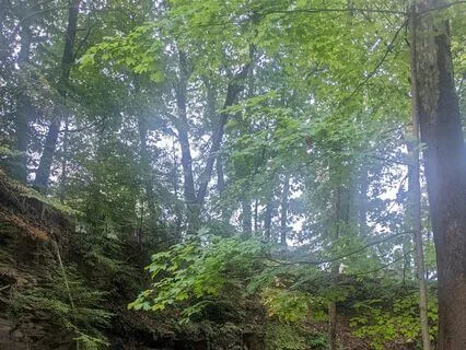 Guidance Into 2 Minutes Of Silence