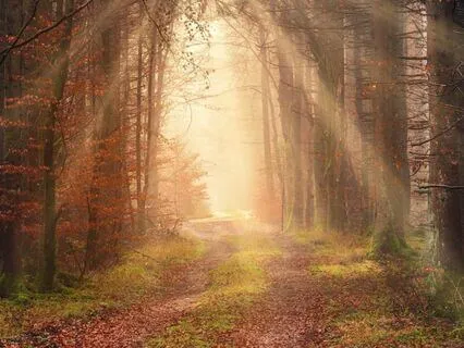 Guidance On The Path Forward