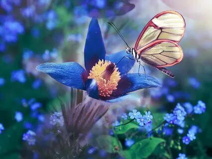 Guidance & Protection–Sound Healing, Meditation & Connection