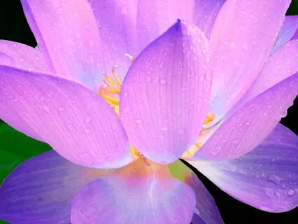 Guidance Through Hard Times