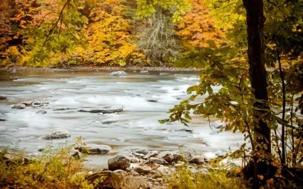 Guide Meditation Practice