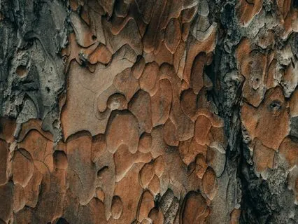 Guided 5 Senses Visualization Day 5/5 - Touch