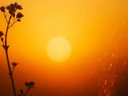 Guided Activation: A Safe Space For Joy To Rise
