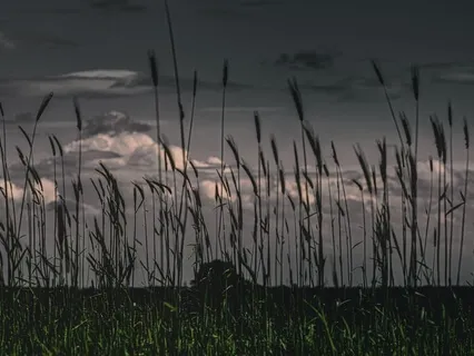 Guided Affirmation Meditation For Self Esteem