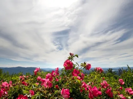 Guided Affirmation Practice for Speaking Your Mind