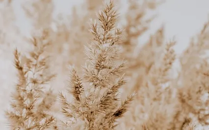 Guided Affirmation | Your Existence Is A Legacy