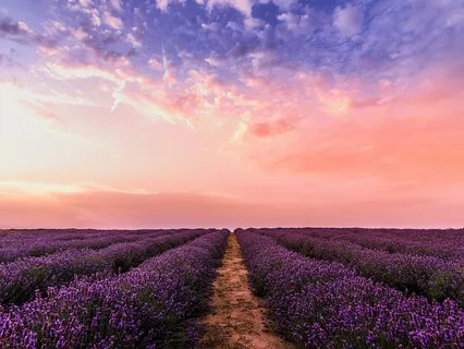 Guided Affirmations To Kickstart The Day With Abundance