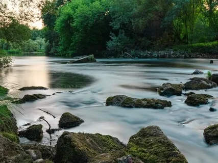 Guided Anchor Meditation