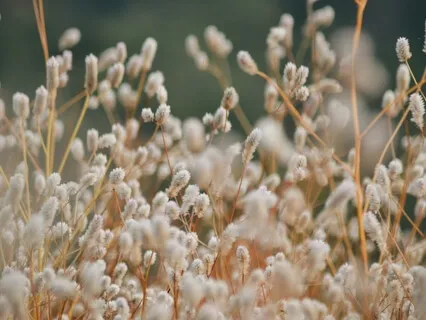 Guided Back Relaxation