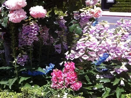 Guided Body Scan & Meditation 15 Minutes (No Music)