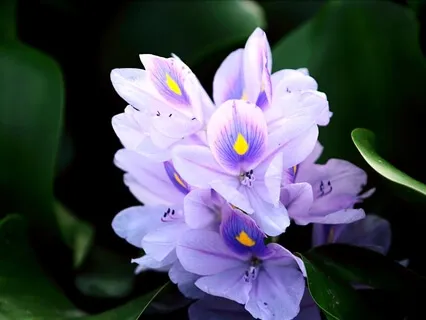 Body Scan For Relaxation