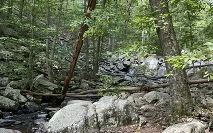 Guided Body Scan , Grounding And Connecting Chakra Meditation