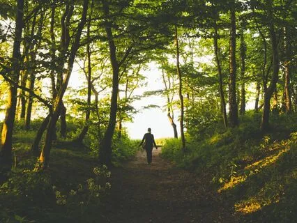 Soothing Body Scan For Relaxation