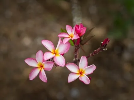 Yoga Nidra To Relax And Reset