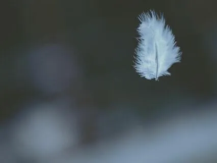 Guided Box Breathing To Ground And Reduce Stress