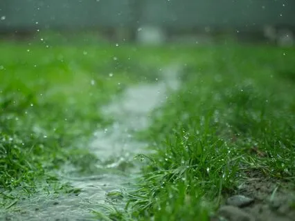 Guided Breath Awareness Meditation For Relaxation