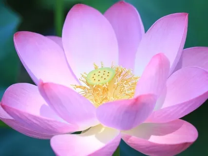 Guided Breath Awareness Meditation