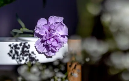 Guided Breath Awareness With Theta Binaural Beats