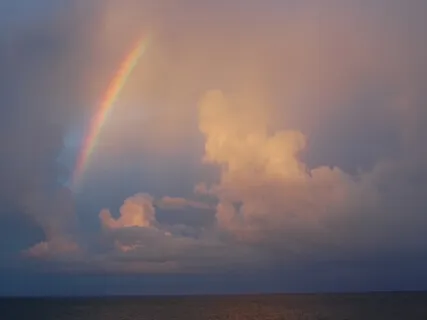 Guided Breath Meditation