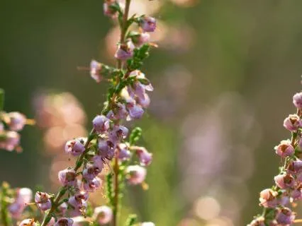 Guided Breathing To Calm Your Nervous System