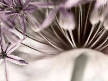 Guided Breathing Practice For Stress & Anxiety Relief