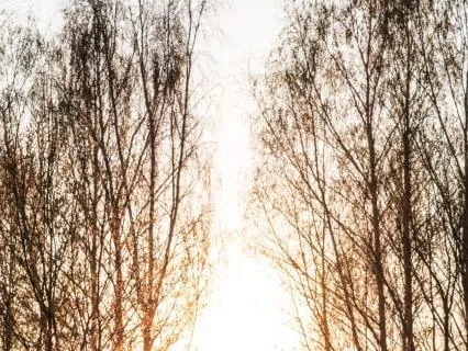 30-Minute Guided Breathing For Deep Calm