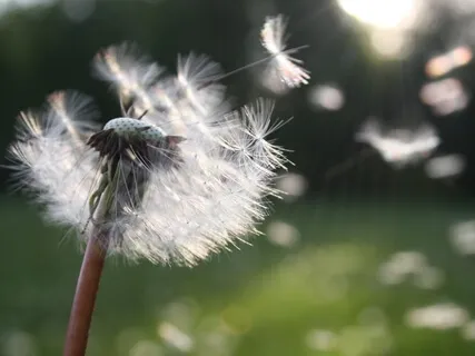 Guided Breathing: Belly Breathing And The 3-6-5 Method