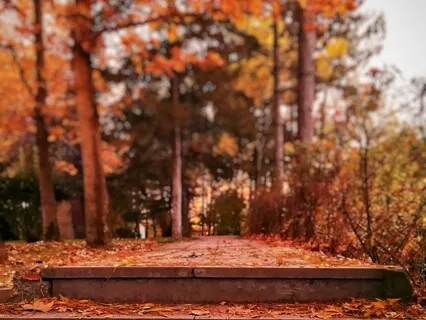 Guided Breathing For Releasing Anger & Stress