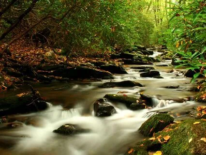 Guided Breathing Practice | Easing GI Pain & Urgency