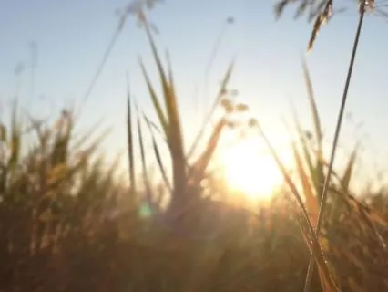Guided Breathing Practice To Calm The Nervous System