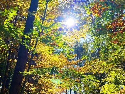 Guided Breathwork | Daily Nervous System Reset (8 Min)