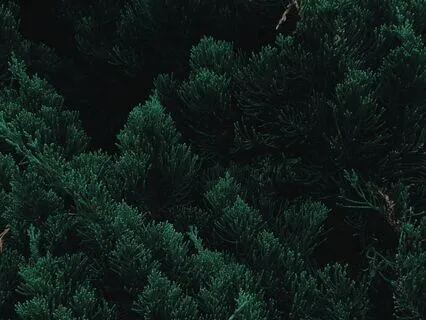 Guided Breathwork For Better Masculine Leadership