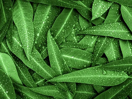 Guided Breathwork For Congestion & Deep Breathing Exercise