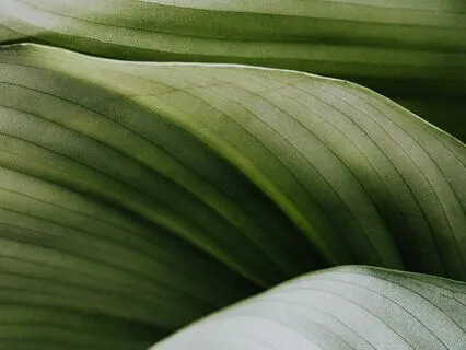 Guided Breathwork For More Capacity