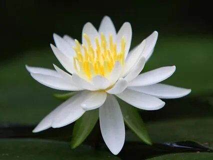 Guided Breathwork To Release Grief & Sadness (For Loss)