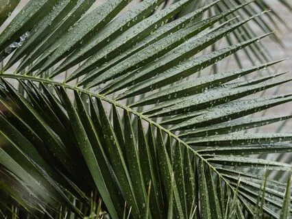 Guided Breathwork To Slow Down & Connect