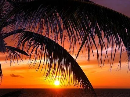 Guided Bubble Meditation For Relaxation