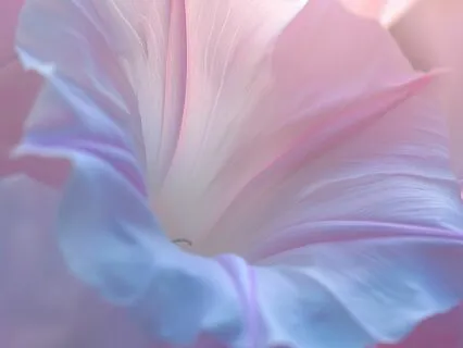 Guided By Light: A Message Of Divine Reassurance