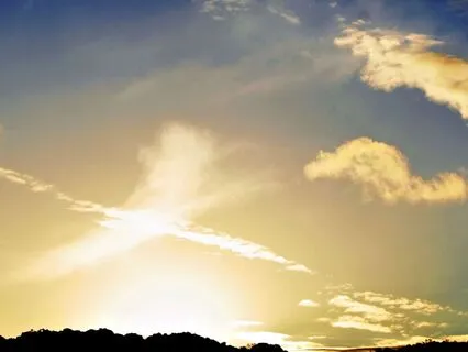 Guided By The Heart, Supported By The Mind