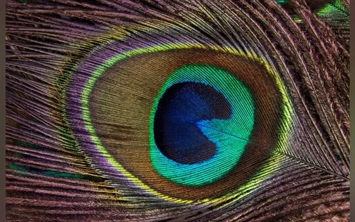 Guided By Your Past To Create A New Future