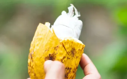 Guided Cacao Ceremony