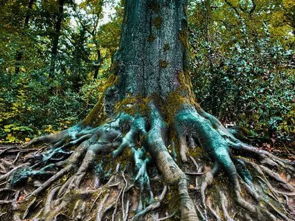 Bring Attention And Balance Back To Your Chakras