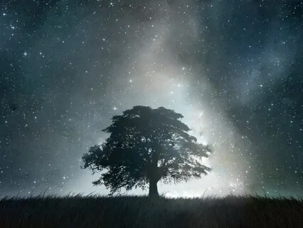 Guided Chakra Visualization