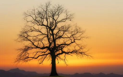 Guided Channeled Relax Into Sleep Session